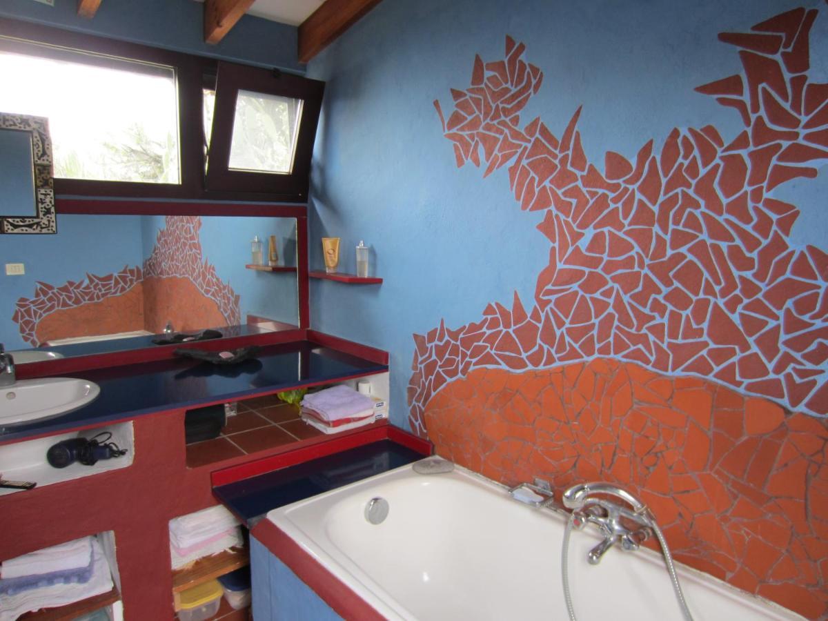 El Drago Rural House Guest House Alajero Bagian luar foto
